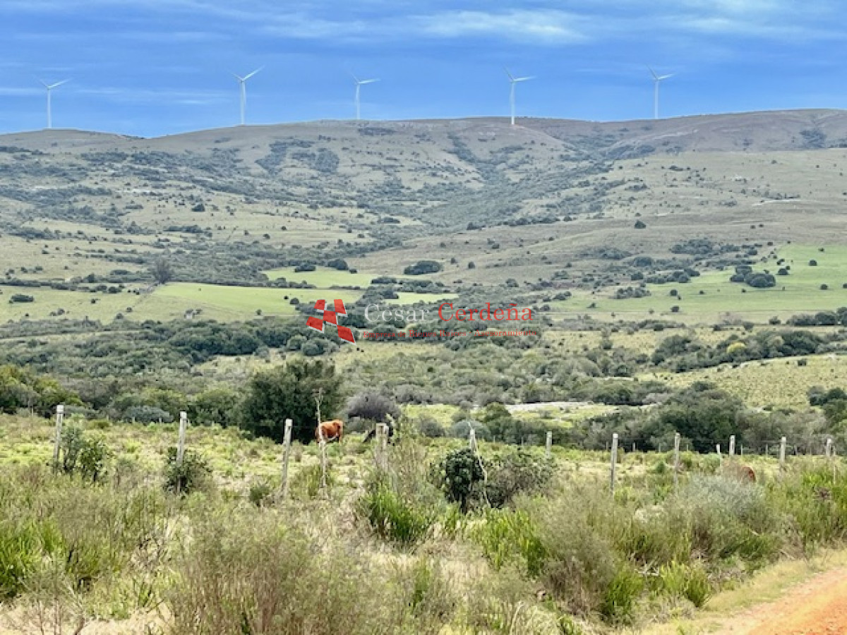 Campo Ref.1900 - VENTA - Campito de 86 hectáreas en las Sierras