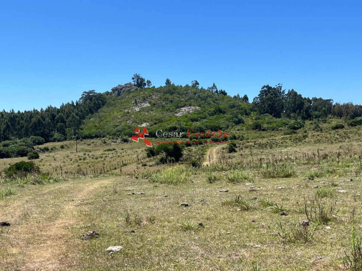 Campo Ref.1970 - VENTA - Campo 49 hectareas Pan de Azucar