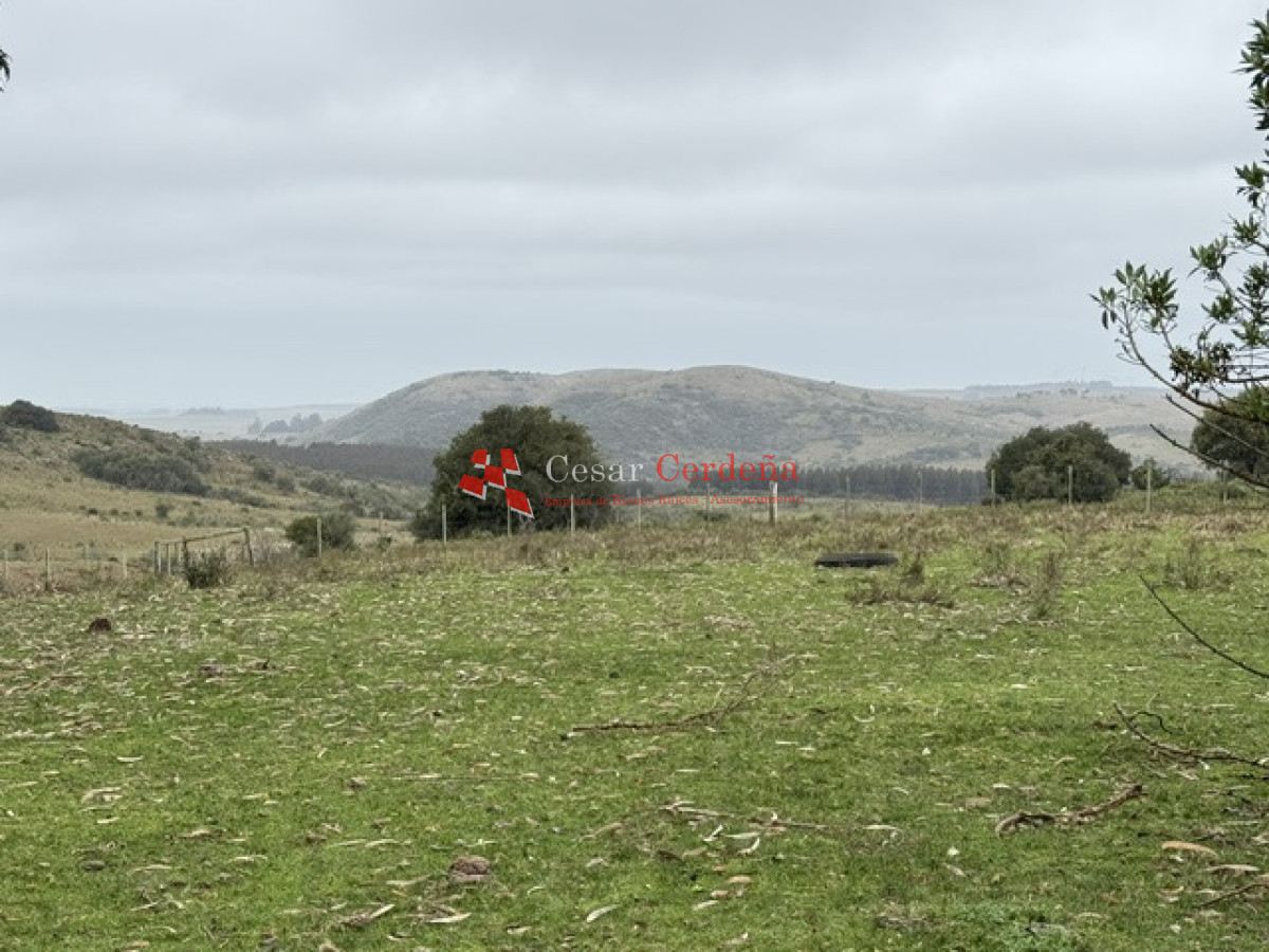 Campo Ref.1964 - VENTA - Campito 59 hectáreas - Castillos, Rocha