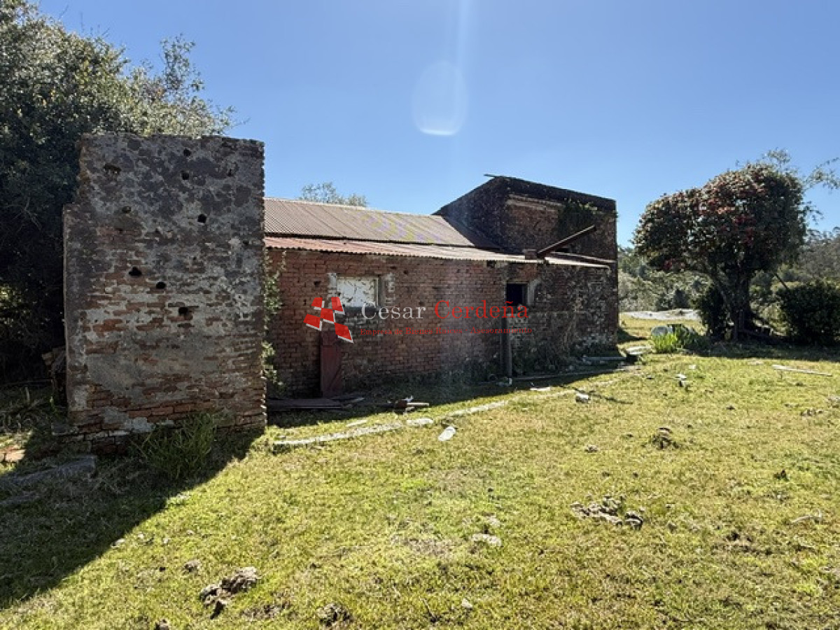 Campo Ref.1968 - VENTA - Campo 106 hectareas - Castillos