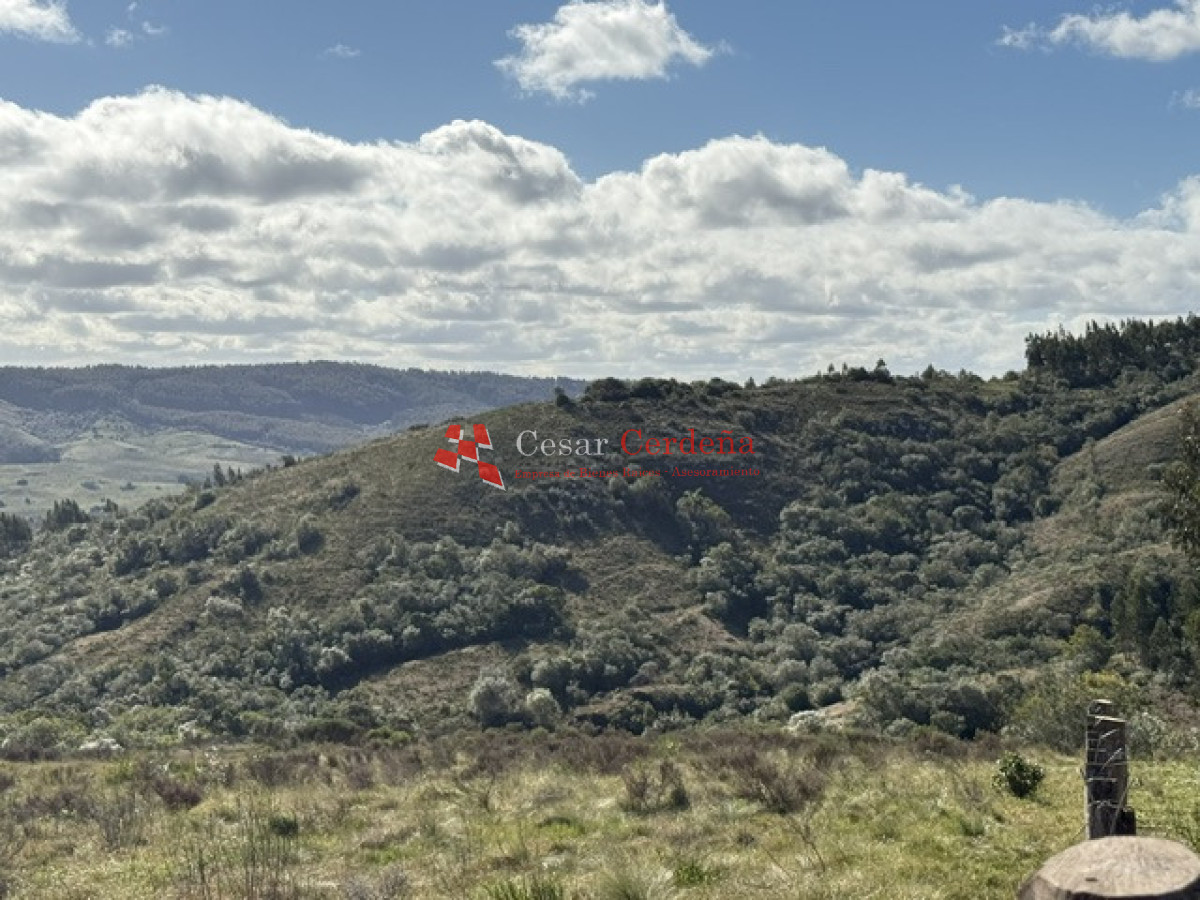 Campo Ref.1981 - VENTA - Campo 372 hectáreas en Piedras Blancas, Rocha