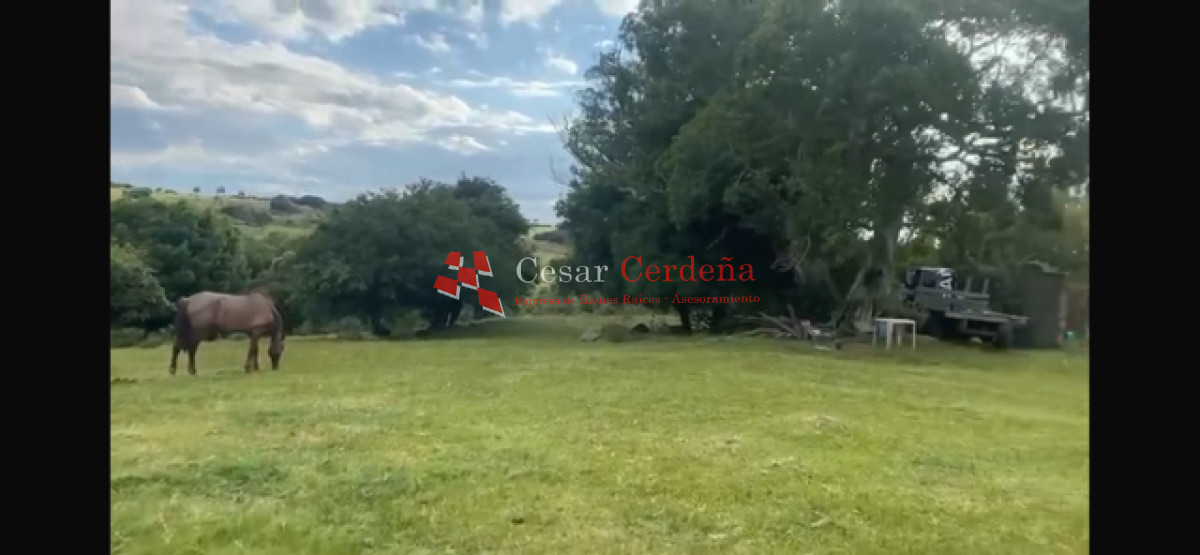 Campo Ref.1922 - VENTA - 124 HAS CASTILLOS