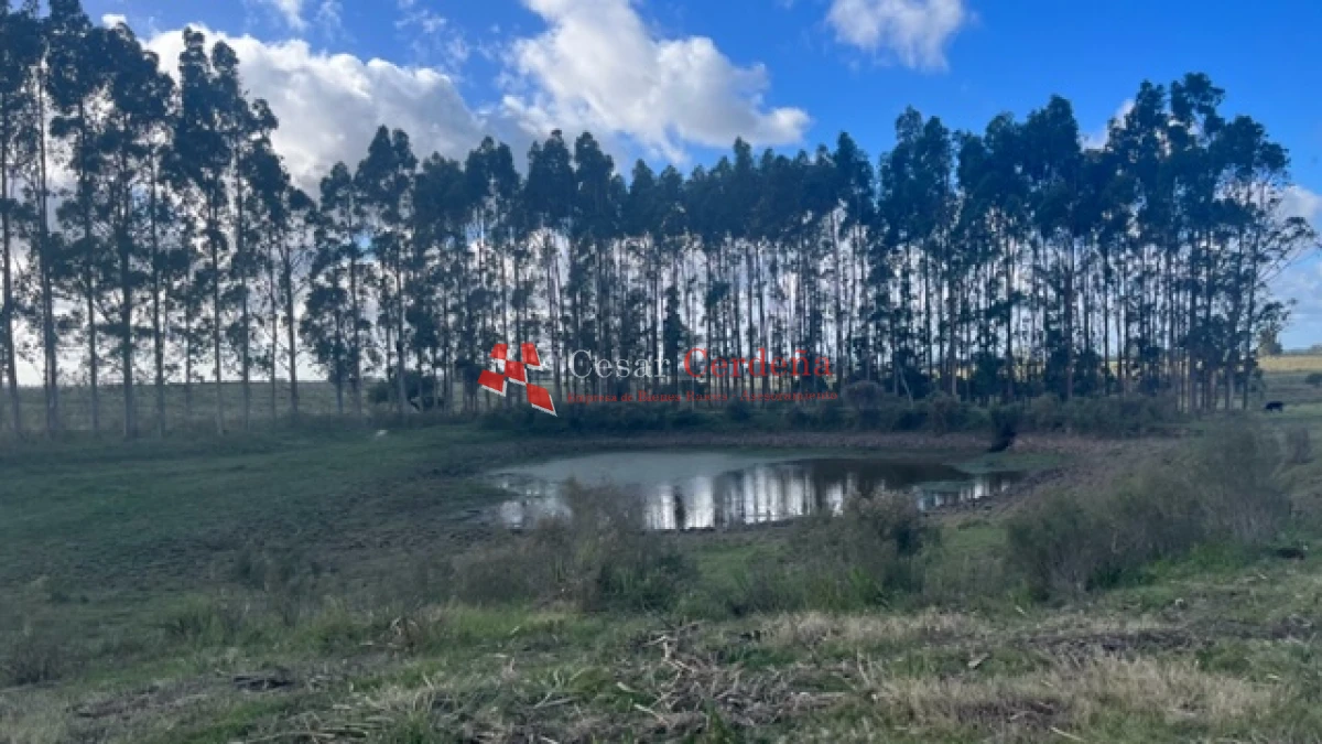 Campo Ref.1780 - VENTA - Campo de 83 hectáreas en Maldonado
