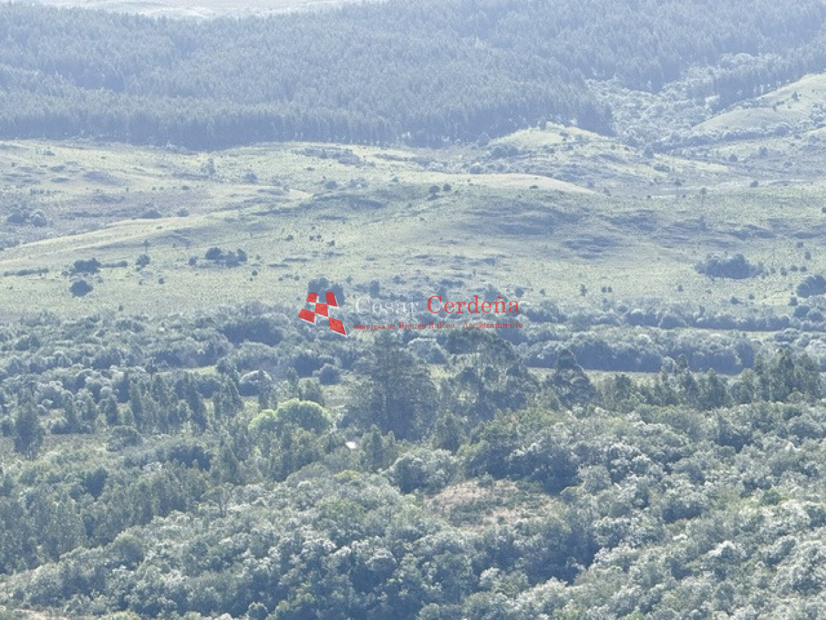 Campo Ref.1981 - VENTA - Campo 372 hectáreas en Piedras Blancas, Rocha