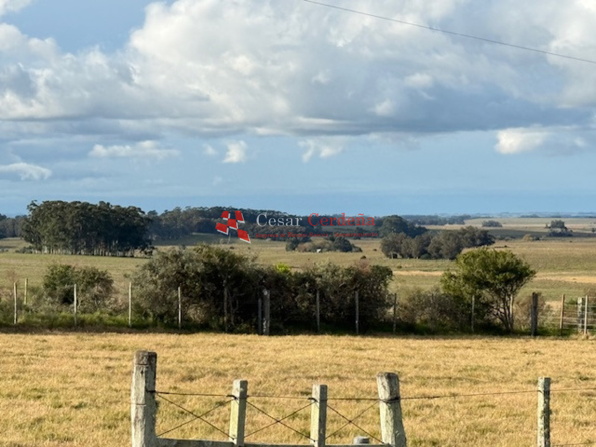 Campo Ref.1998 - VENTA - Campo 358 hectáreas en Garzón, Rocha