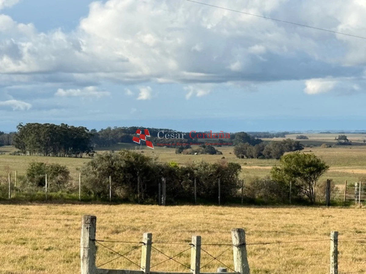 Campo Ref.1998 - VENTA - Campo 358 hectáreas en Garzón, Rocha