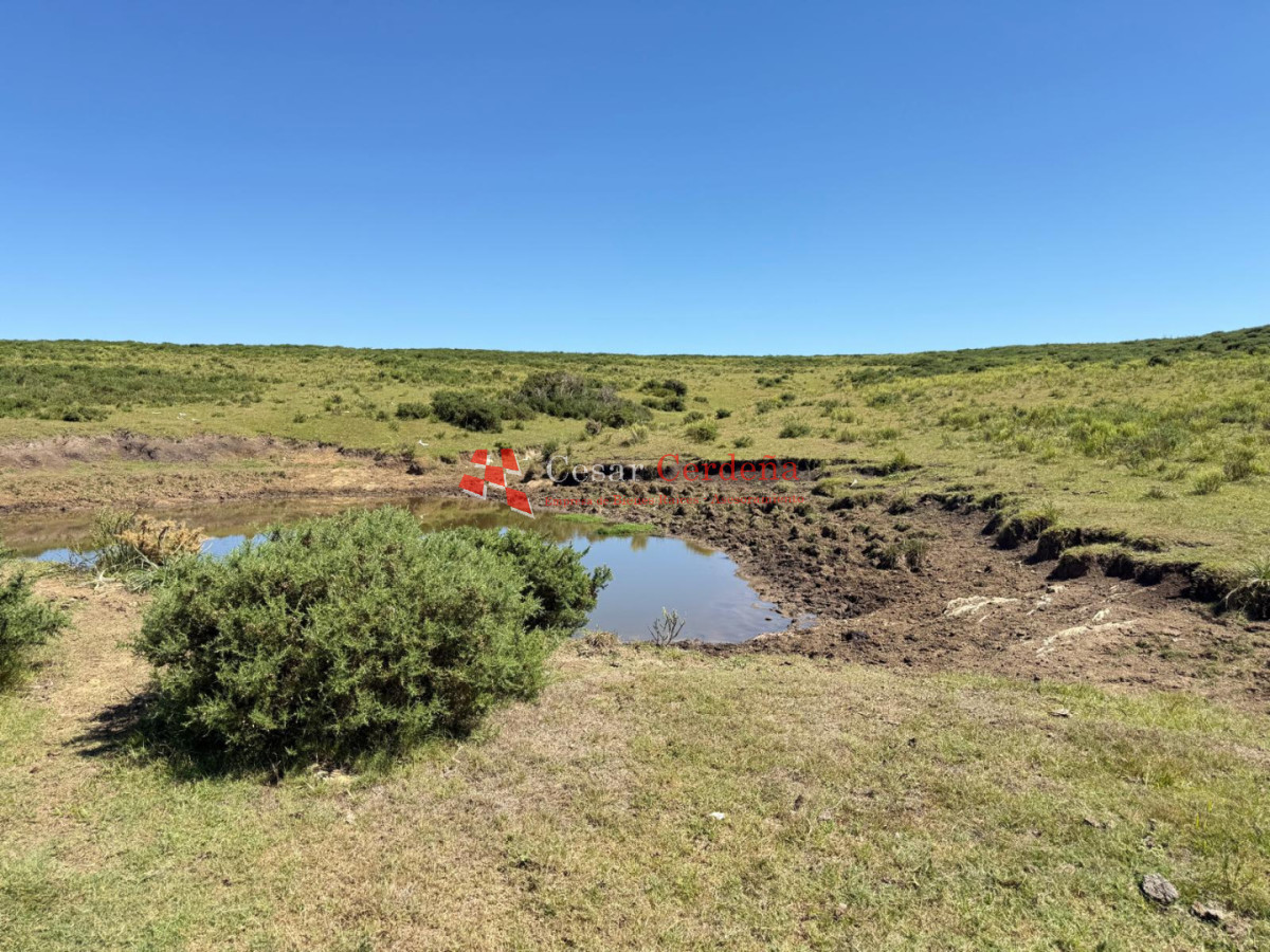 Campo Ref.1990 - VENTA - Campo 112 hectareas en La Carbonera, Rocha
