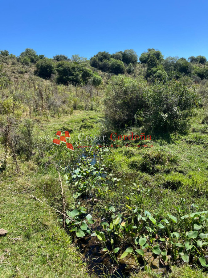 Campo Ref.1970 - VENTA - Campo 49 hectareas Pan de Azucar