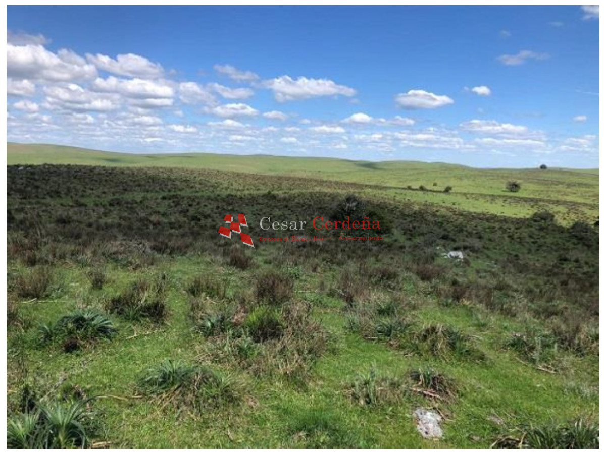 Campo Ref.1908 - VENTA - Campo 1228 hectareas - Treinta y Tres