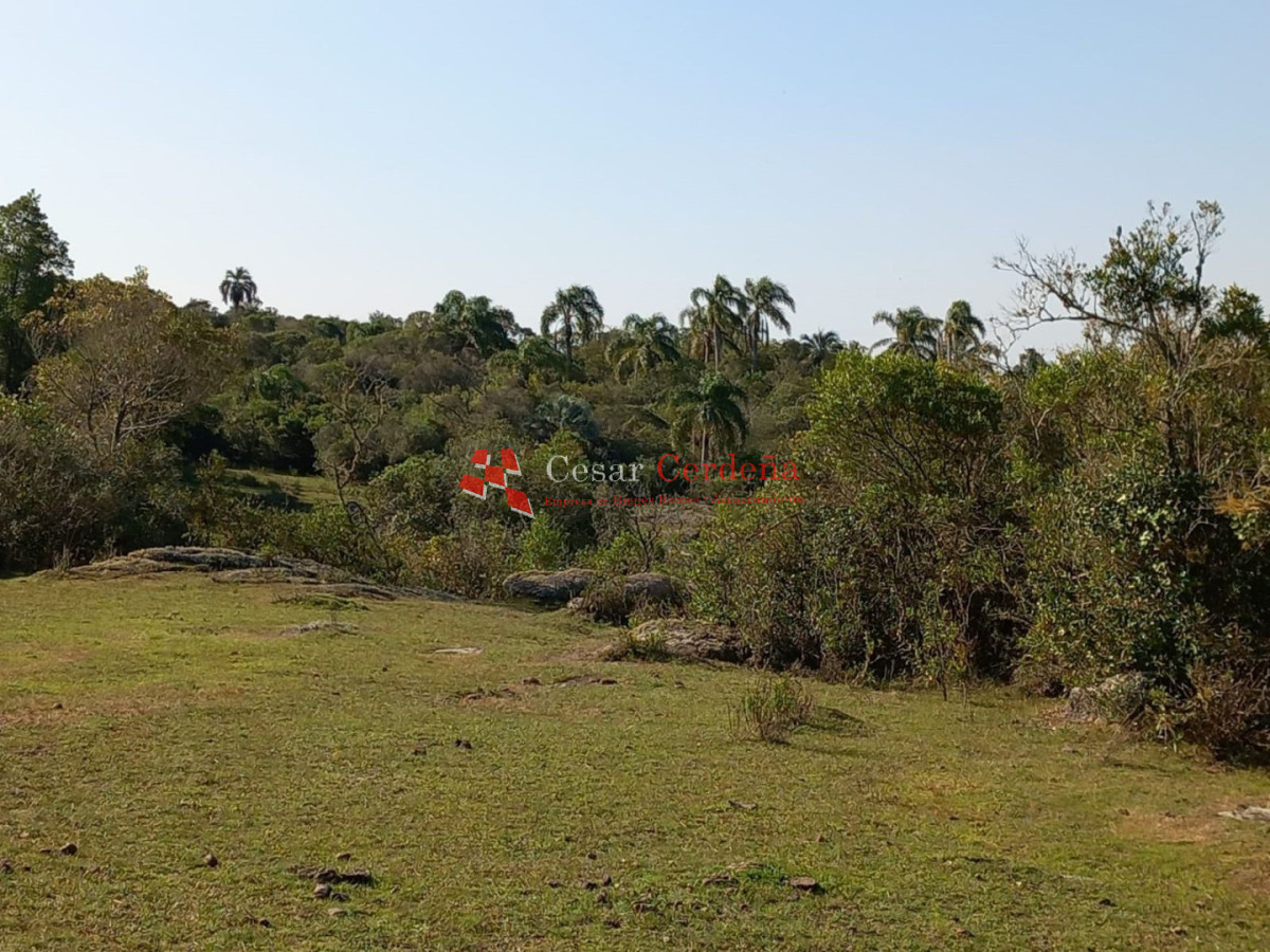 Campo Ref.1968 - VENTA - Campo 106 hectareas - Castillos