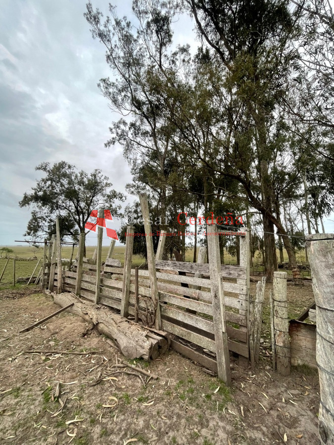Campo Ref.1899 - VENTA - Campo 208 hectareas en La Coronilla