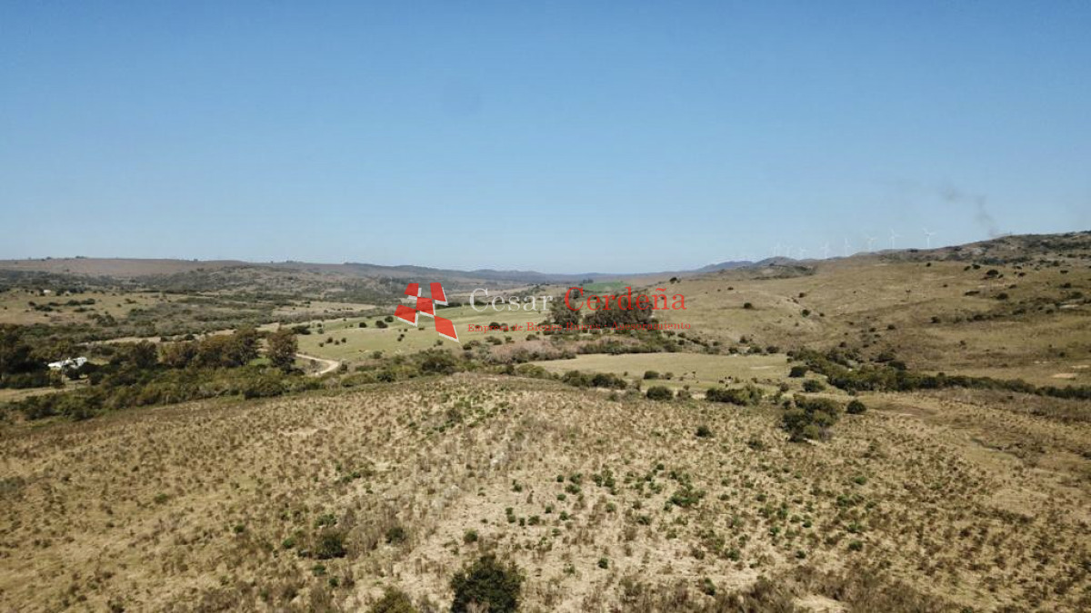 Campo Ref.1900 - VENTA - Campito de 86 hectáreas en las Sierras