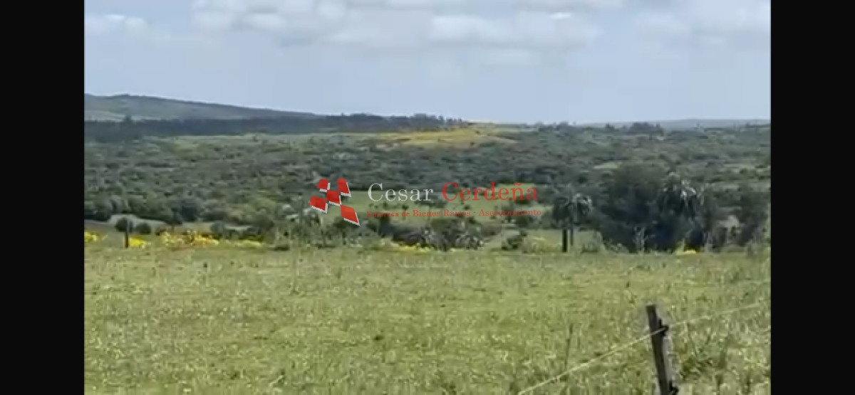 Campo Ref.1922 - VENTA - 124 HAS CASTILLOS