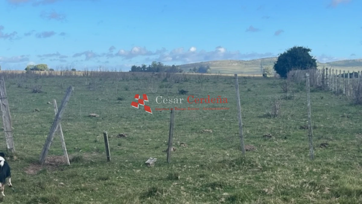 Campo Ref.1780 - VENTA - Campo de 83 hectáreas en Maldonado