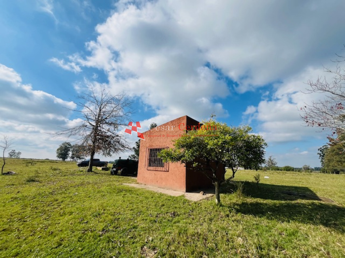 Campo Ref.1937 - VENTA - Campo de 83 hectáreas en Maldonado