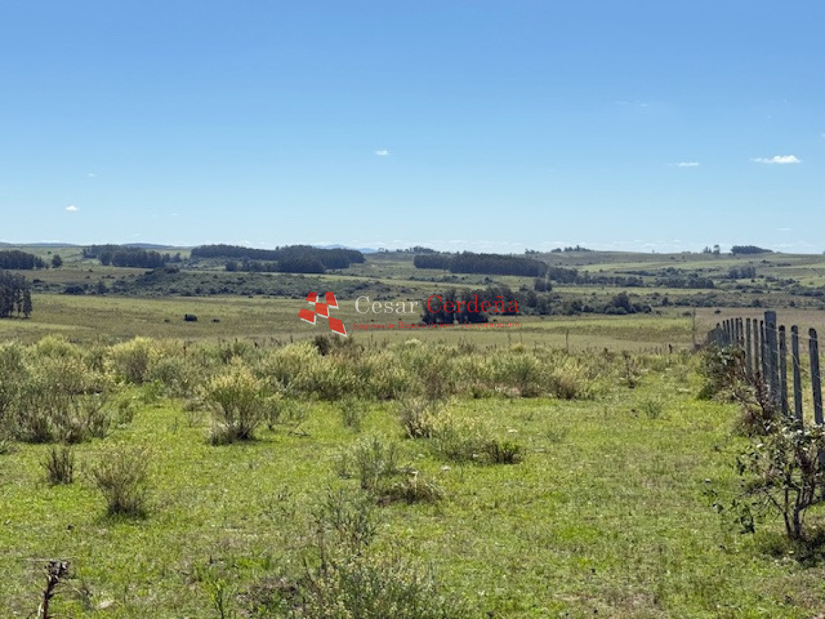 Campo Ref.1947 - VENTA - Campo 316 hectareas en Garzon, Rocha