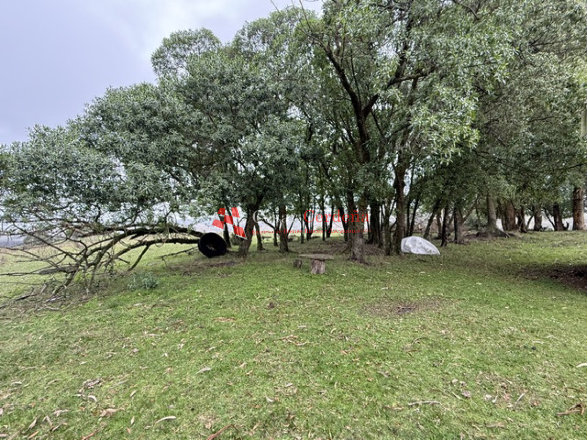 Campo Ref.1964 - VENTA - Campito 59 hectáreas - Castillos, Rocha