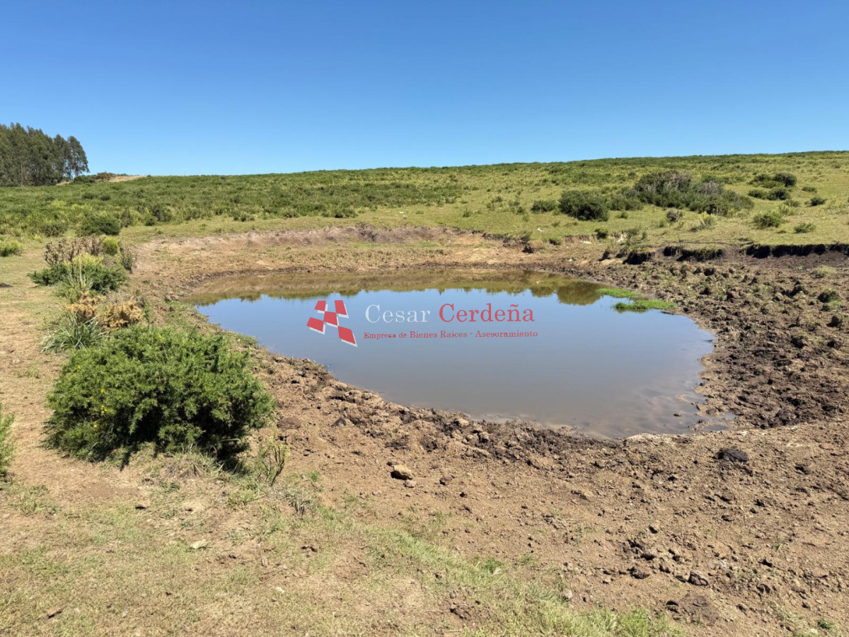 Campo Ref.1990 - VENTA - Campo 112 hectareas en La Carbonera, Rocha
