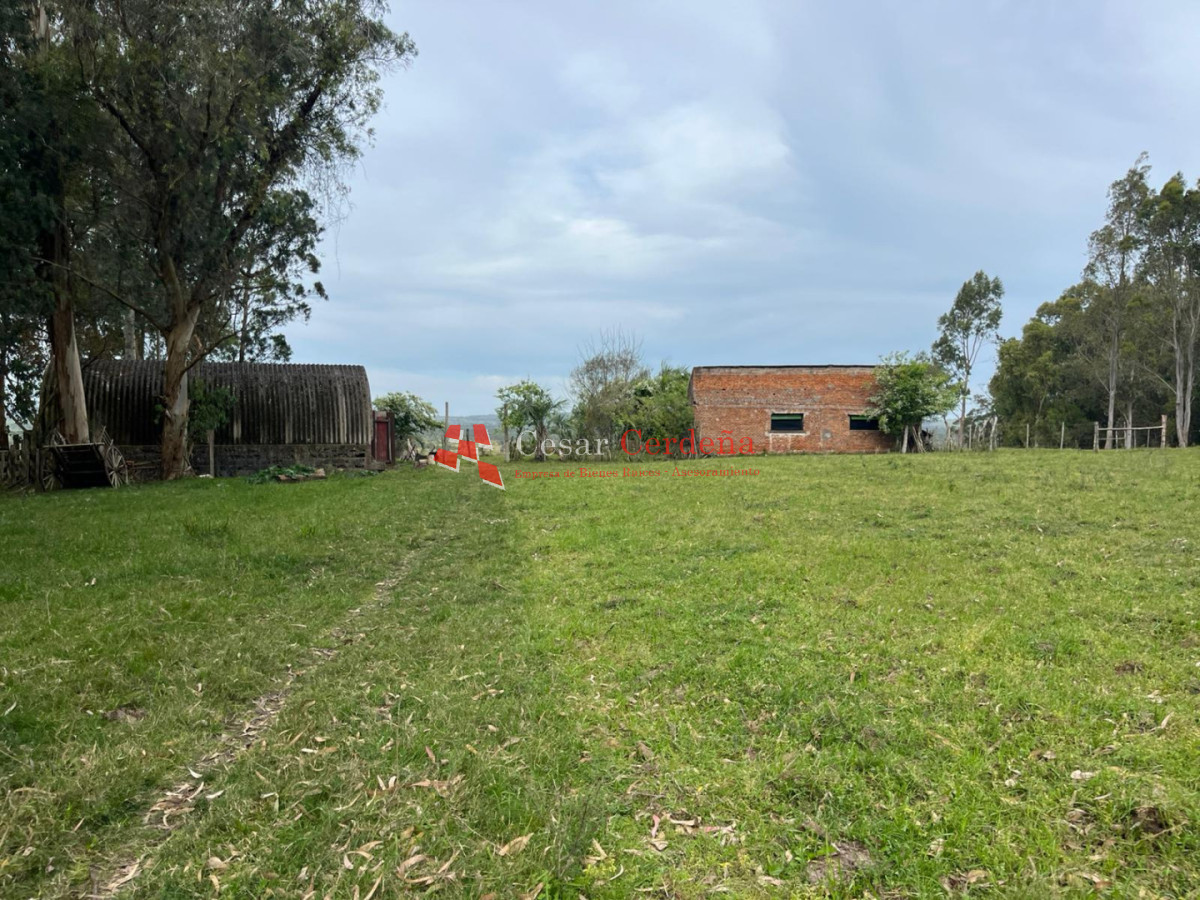 Campo Ref.1952 - VENTA - Campo 138 hectareas en Castillos Rocha
