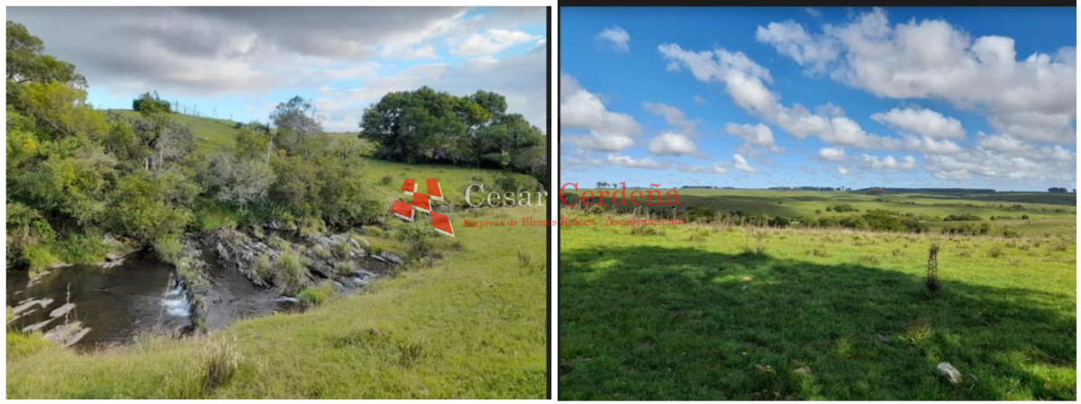 Campo Ref.1908 - VENTA - Campo 1228 hectareas - Treinta y Tres