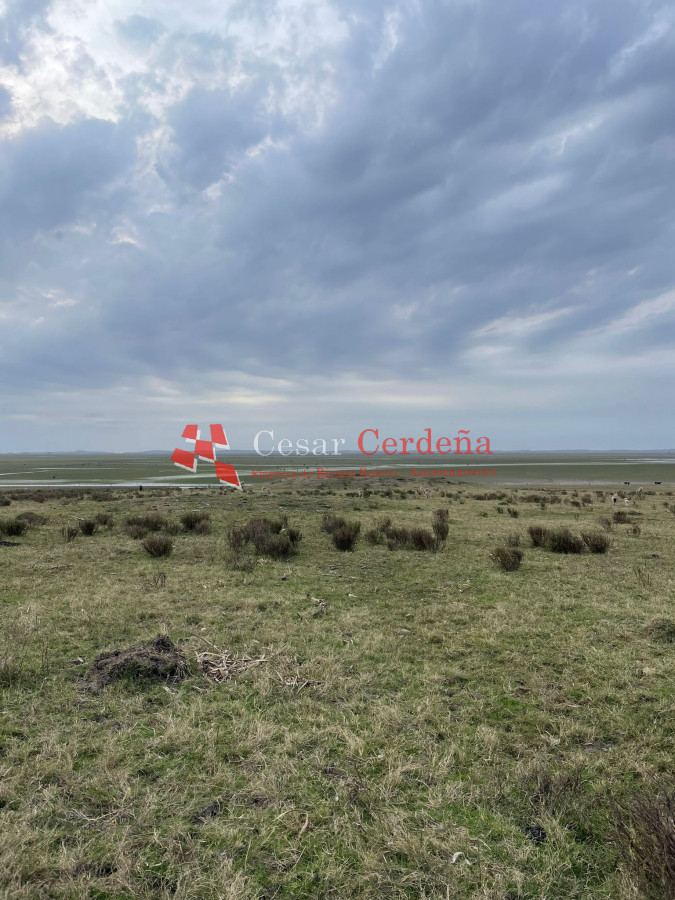 Campo Ref.1899 - VENTA - Campo 208 hectareas en La Coronilla