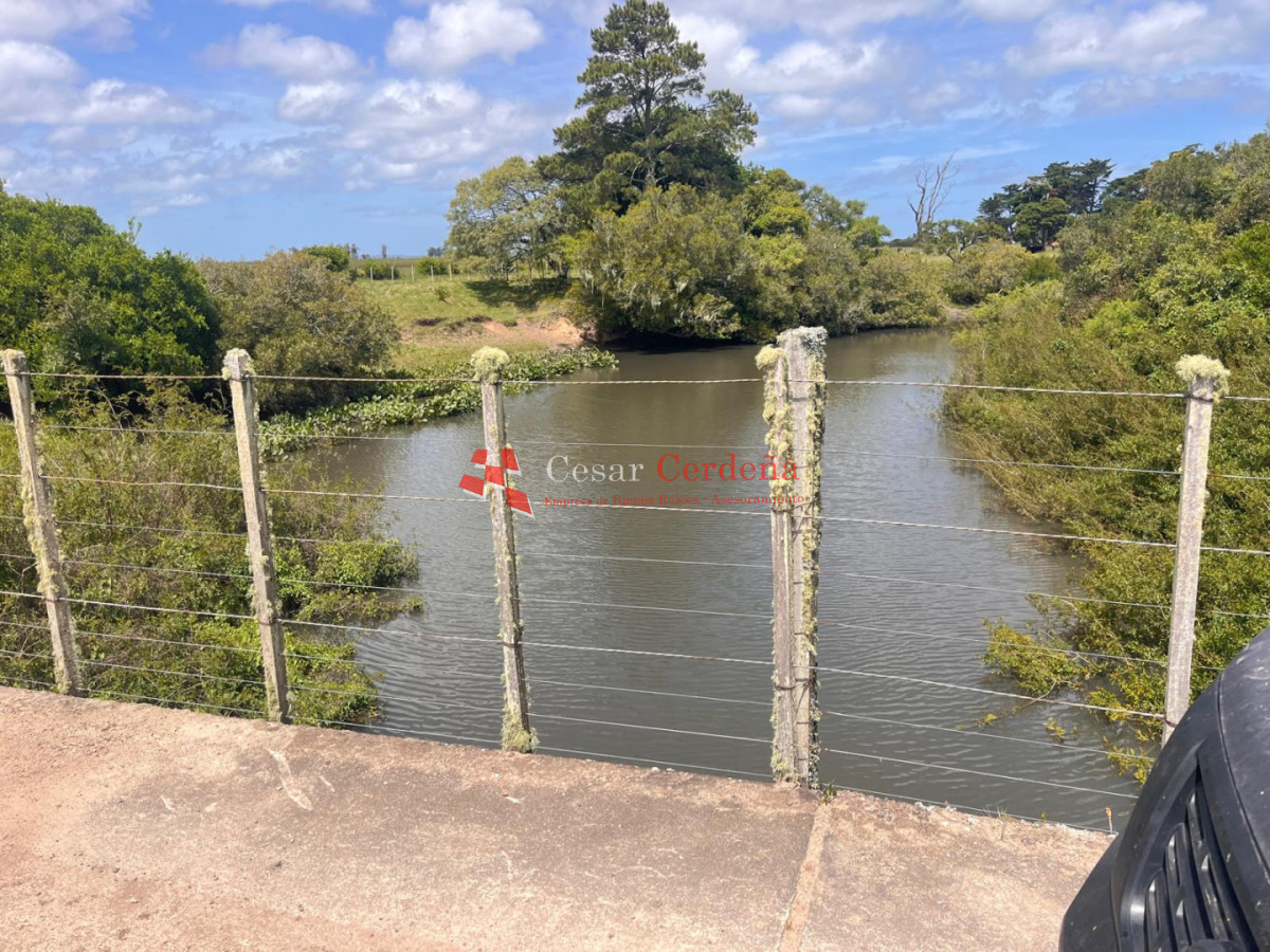 Campo Ref.1850 - VENTA - 745 HECTAREAS ROCHA