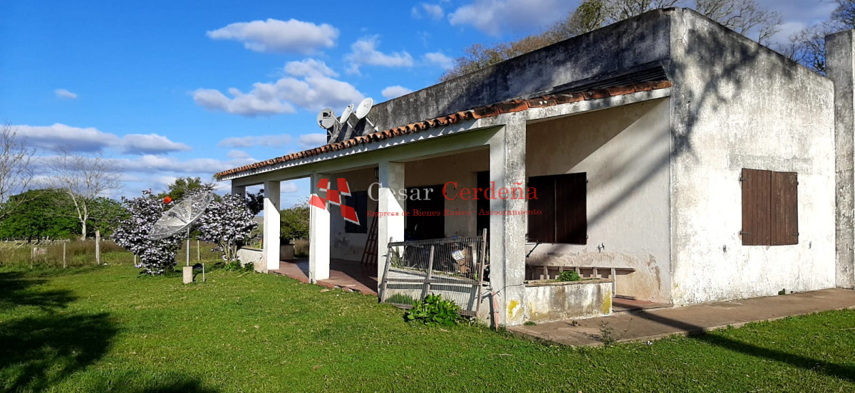 Campo Ref.1661 - VENTA - Campo 890 has Agricolas - Ganaderas en Cerro Largo