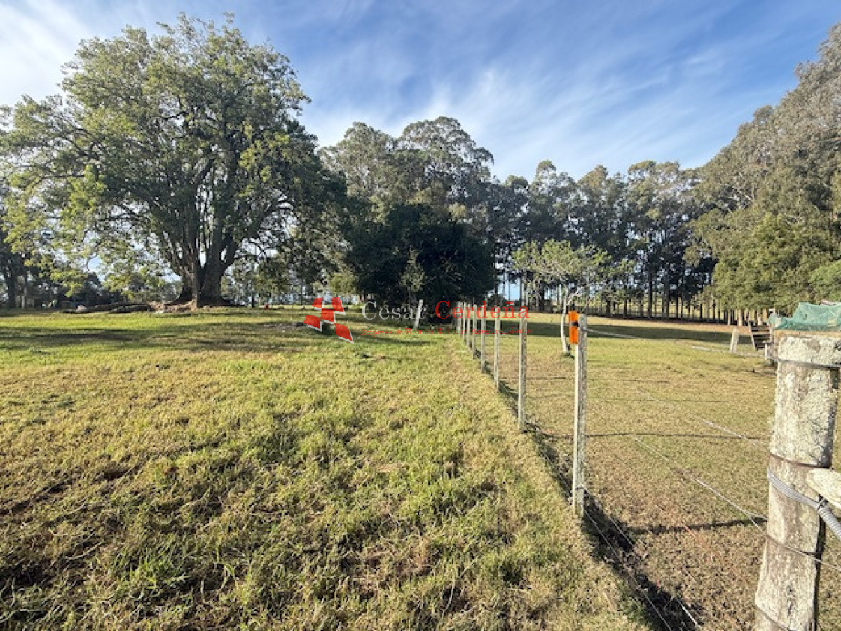 Campo Ref.1998 - VENTA - Campo 358 hectáreas en Garzón, Rocha