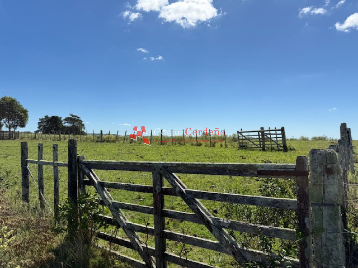 Campo Ref.1947 - VENTA - Campo 316 hectareas en Garzon, Rocha