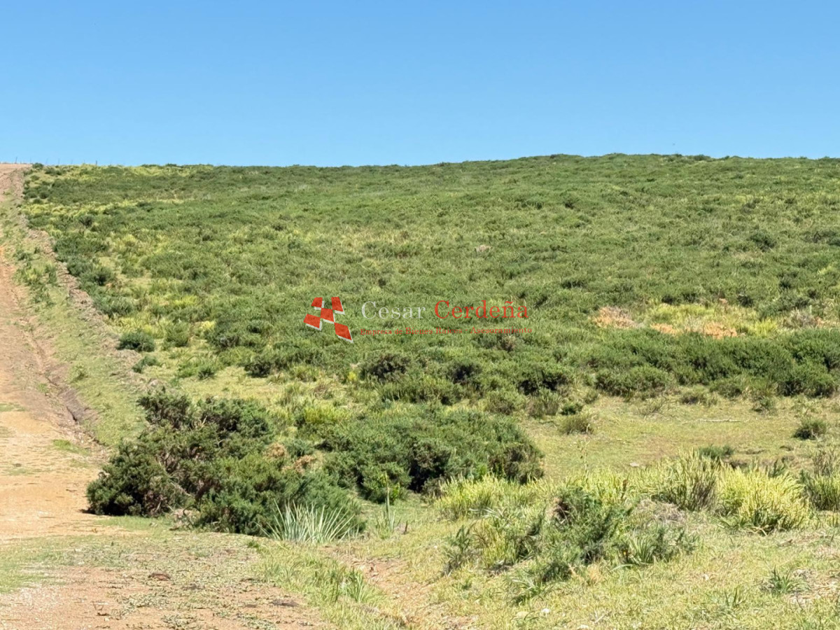 Campo Ref.1990 - VENTA - Campo 112 hectareas en La Carbonera, Rocha