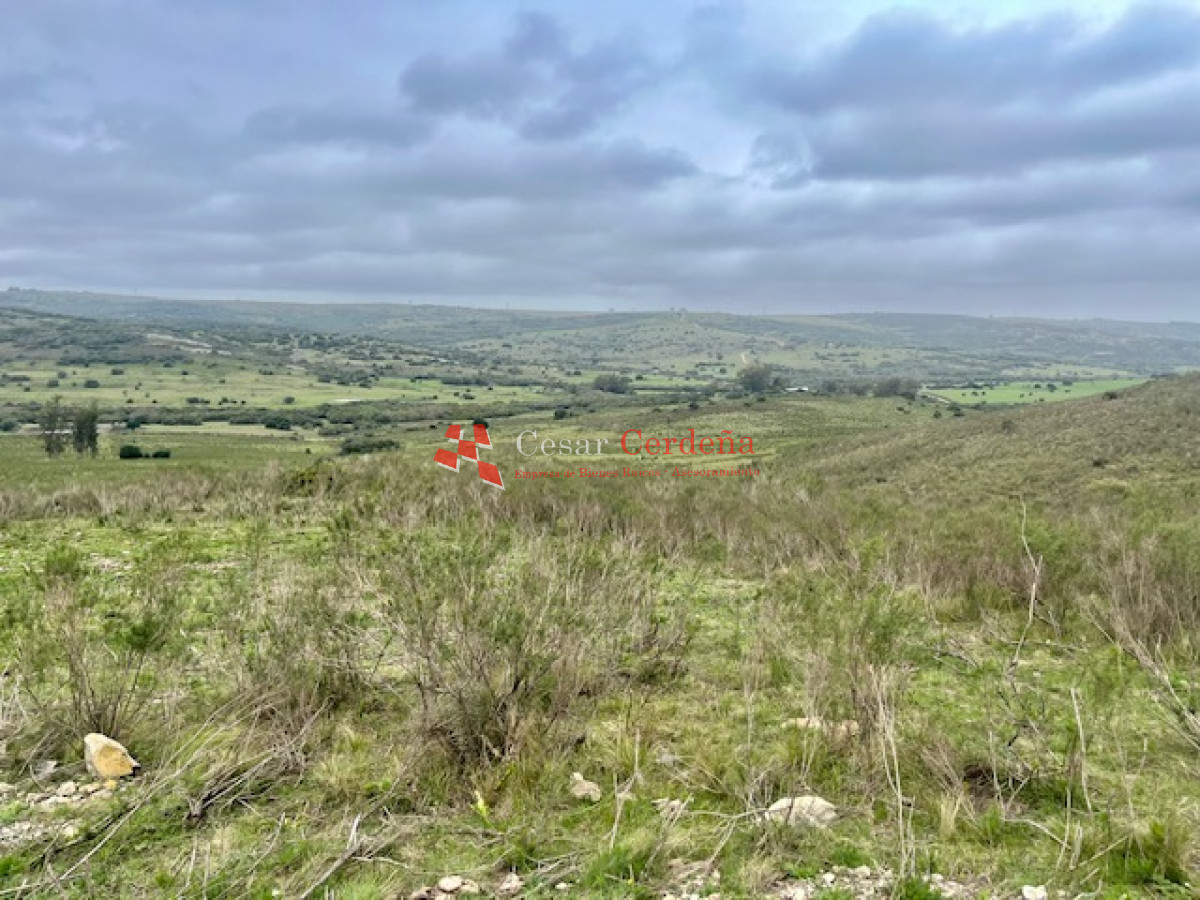 Campo Ref.1900 - VENTA - Campito de 86 hectáreas en las Sierras