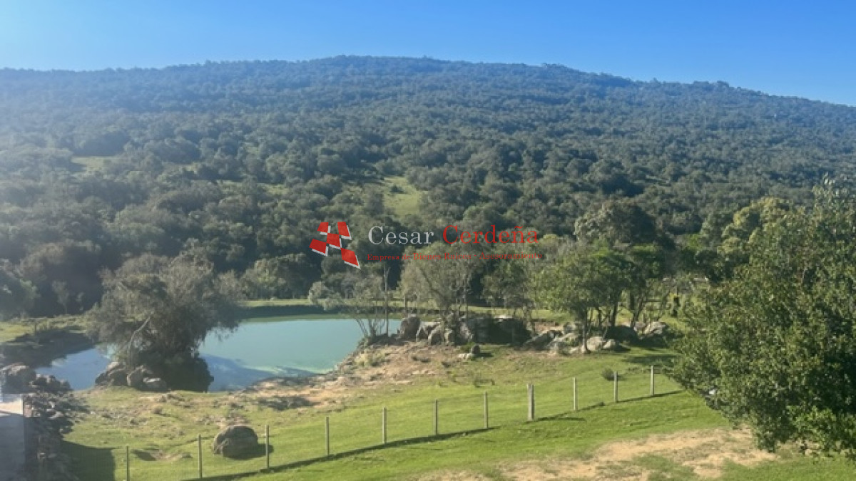Campo Ref.1886 - VENTA - Campo de 238 hectáreas en zona del Cerro Catedral