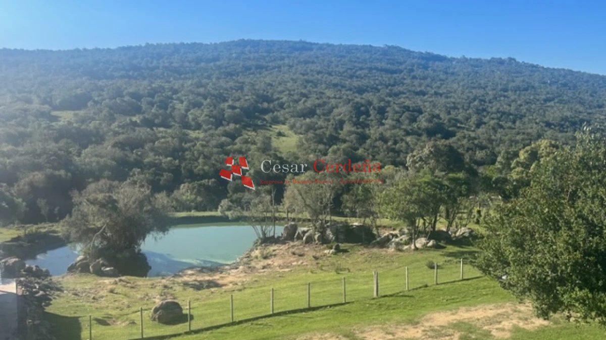 Campo Ref.1886 - VENTA - Campo de 238 hectáreas ganaderas en zona del Cerro Catedral