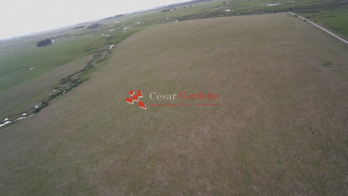 Campo Ref.2007 - VENTA - Campo 655 hectáreas cercano a Velazquez
