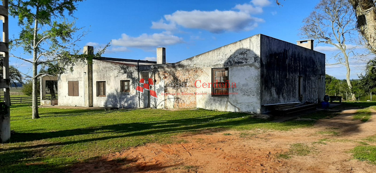 Campo Ref.1661 - VENTA - Campo 890 has Agricolas - Ganaderas en Cerro Largo