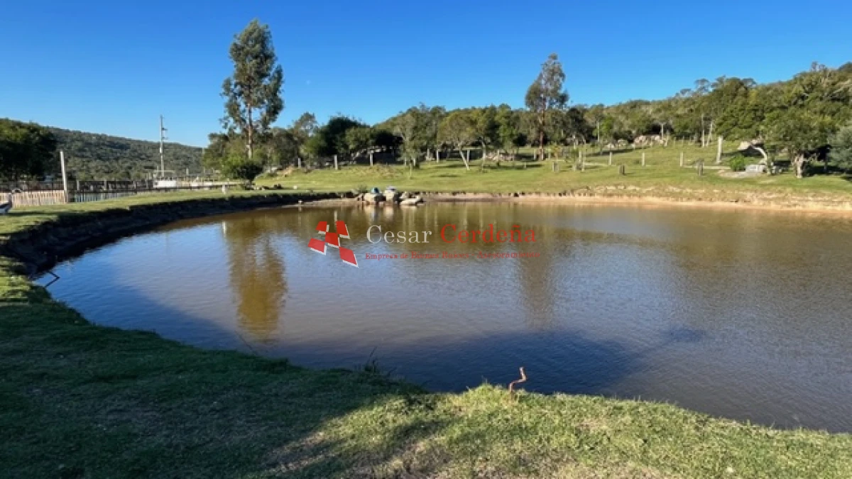 Campo Ref.1886 - VENTA - Campo de 238 hectáreas ganaderas en zona del Cerro Catedral