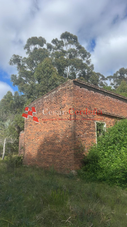 Campo Ref.1956 - VENTA - Campo 295 hectáreas en 19 de Abril - Rocha