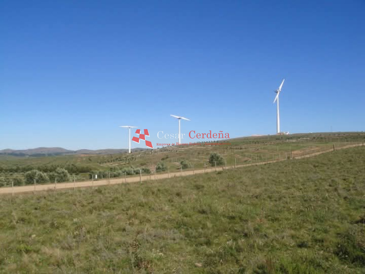 Campo Ref.1936 - VENTA - Campo 240 hectáreas en 19 de Abril - Rocha