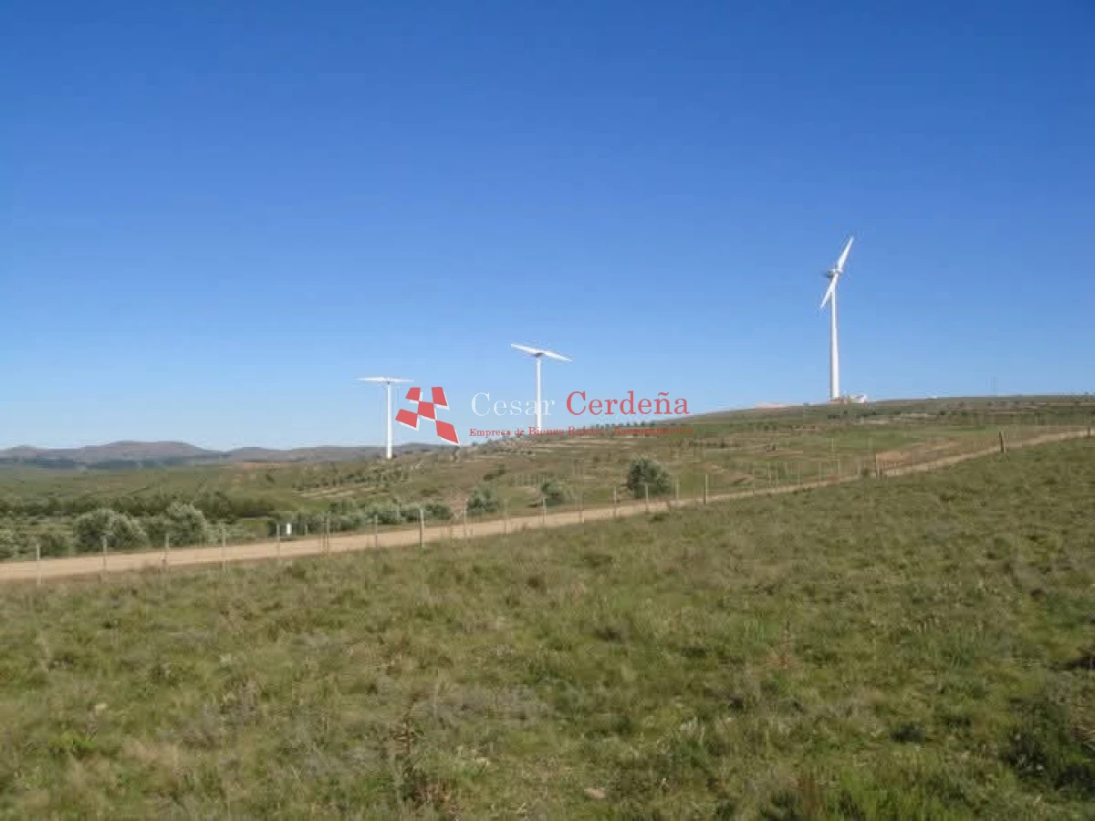 Campo Ref.1936 - VENTA - Campo 240 hectáreas en 19 de Abril - Rocha