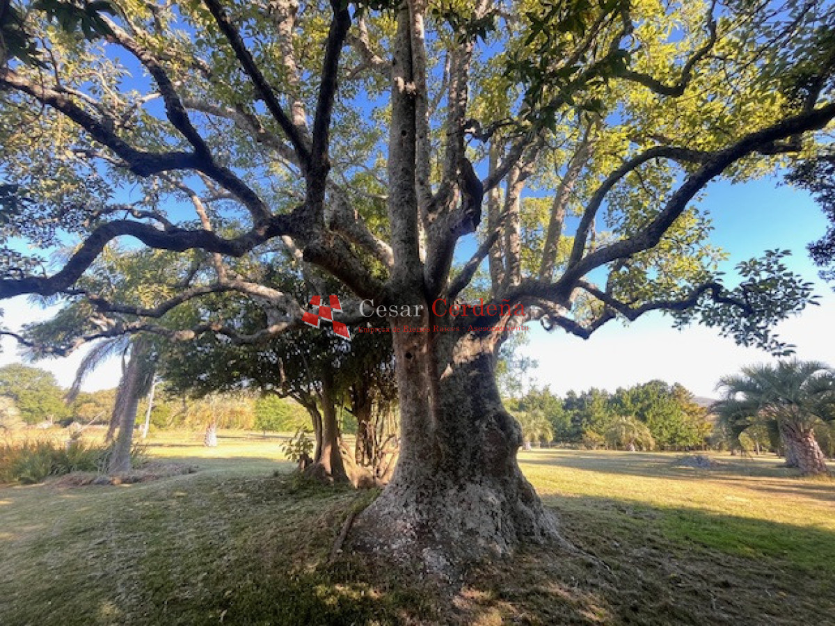 Campo Ref.1595 - VENTA - Campo 57 has muy pintorescas en Maldonado
