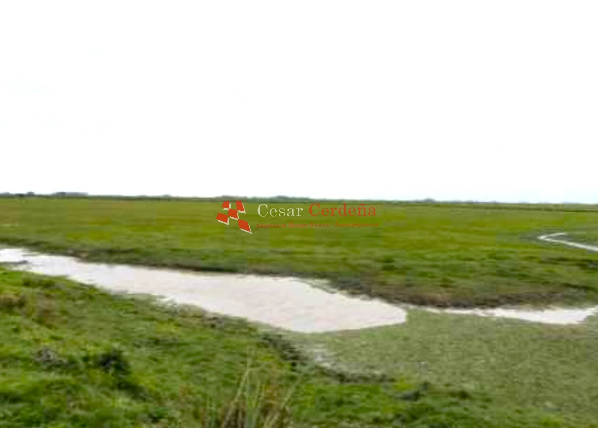 Campo Ref.1909 - VENTA -Campo en Rocha 690 hectáreas 