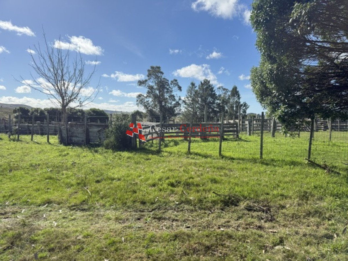 Campo Ref.1936 - VENTA - Campo 240 hectáreas en 19 de Abril - Rocha