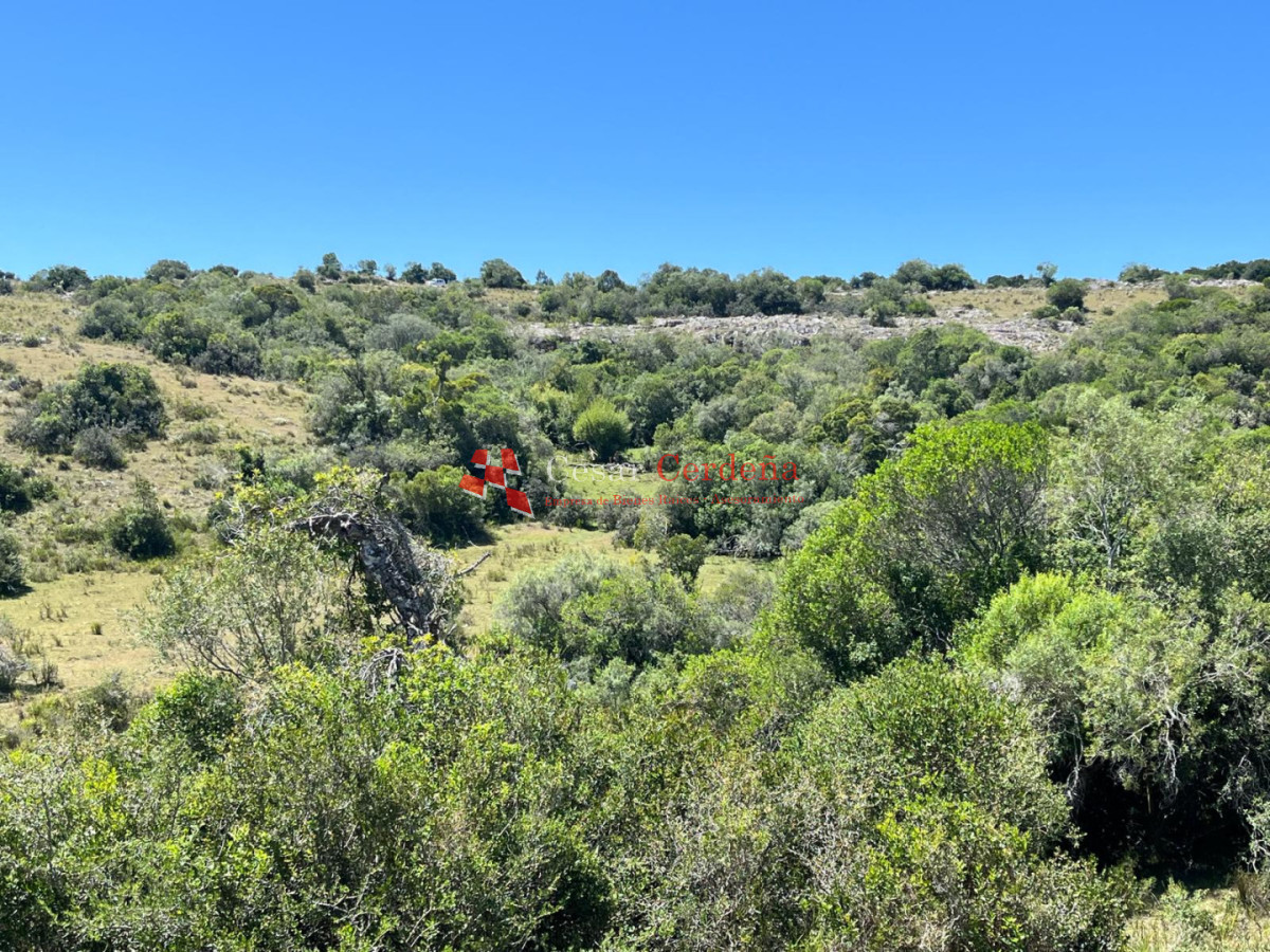 Campo Ref.1970 - VENTA - Campo 49 hectareas Pan de Azucar