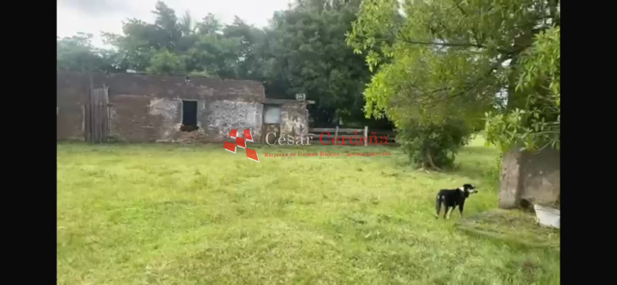 Campo Ref.1922 - VENTA - 124 HAS CASTILLOS