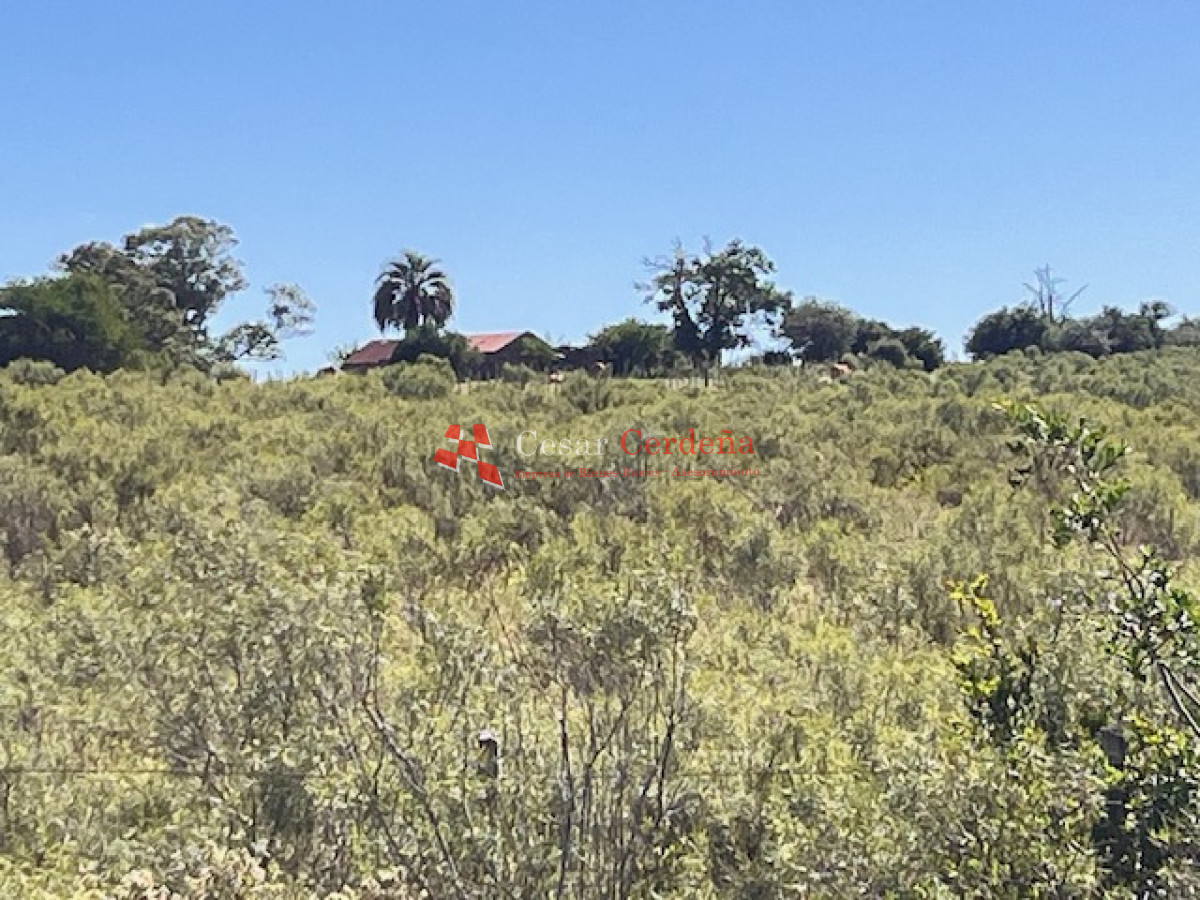 Campo Ref.1958 - VENTA - Campo 82 hectáreas