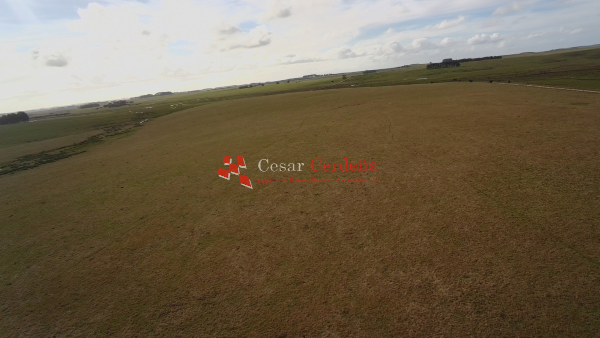 Campo Ref.2007 - VENTA - Campo 655 hectáreas cercano a Velazquez