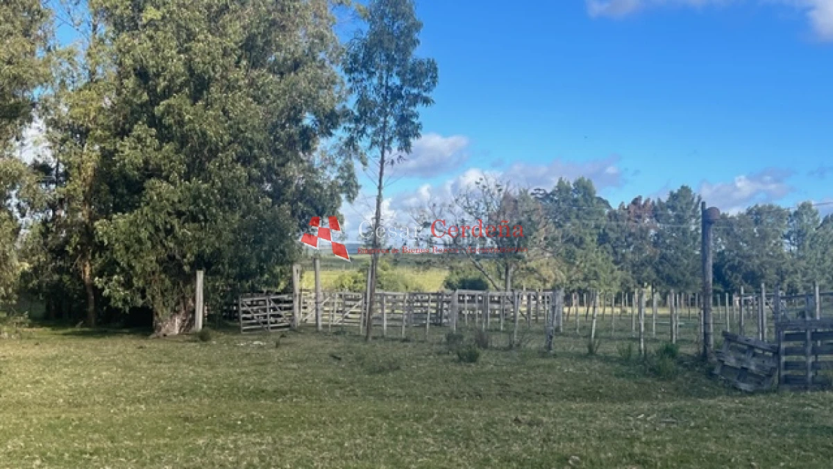 Campo Ref.1780 - VENTA - Campo de 83 hectáreas en Maldonado