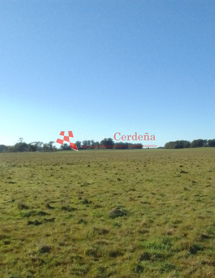 Campo Ref.1951 - VENTA - Campo 744 hectareas - Rocha