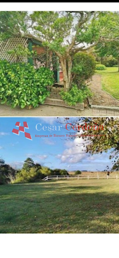 Campo Ref.1850 - VENTA - 735 HECTAREAS ROCHA