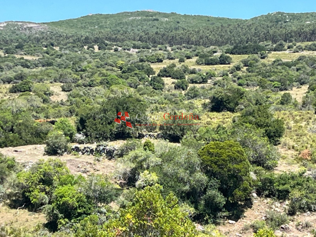 Campo Ref.1970 - VENTA - Campo 49 hectareas Pan de Azucar